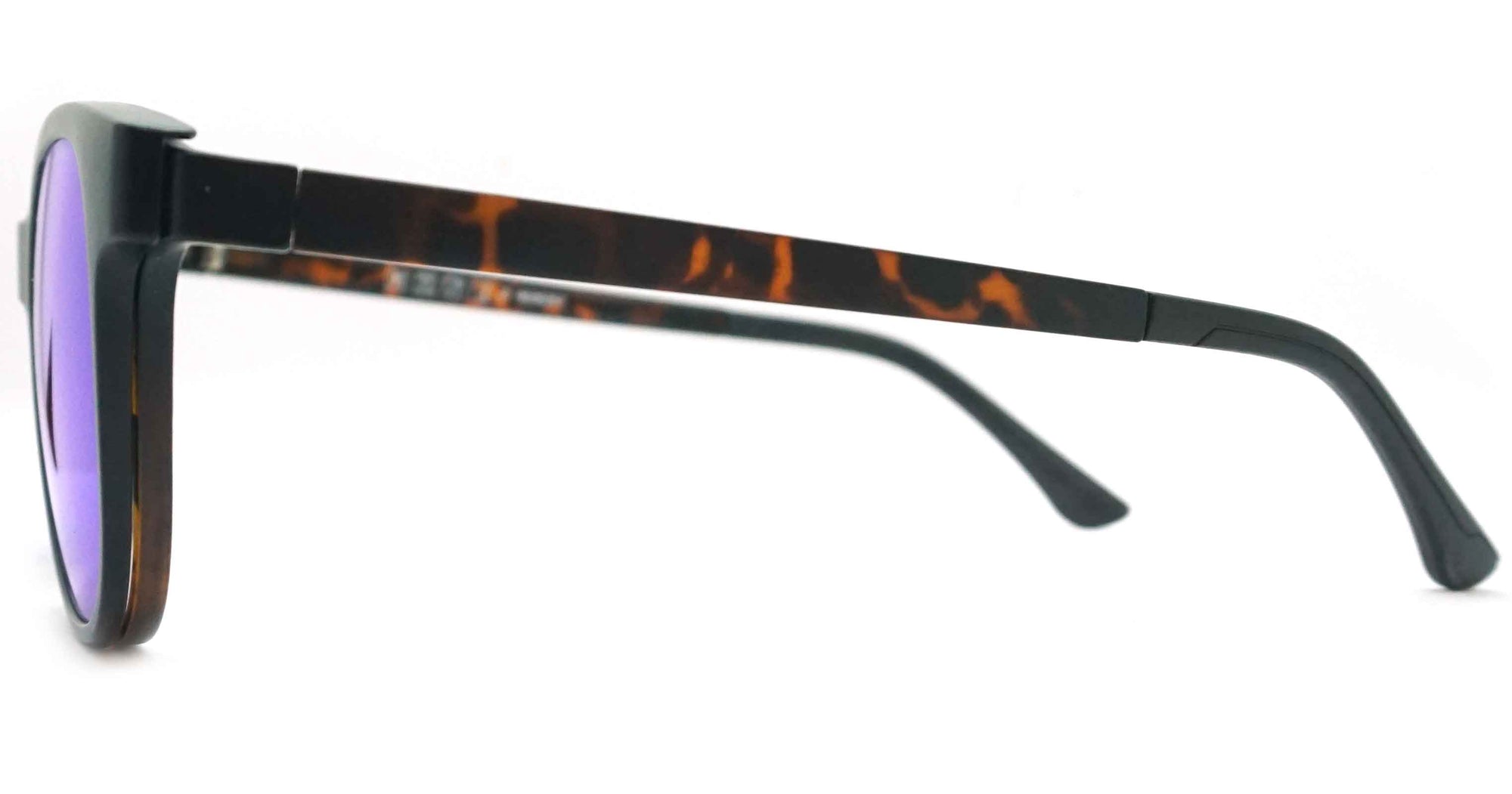 Montgomery - Tortoise