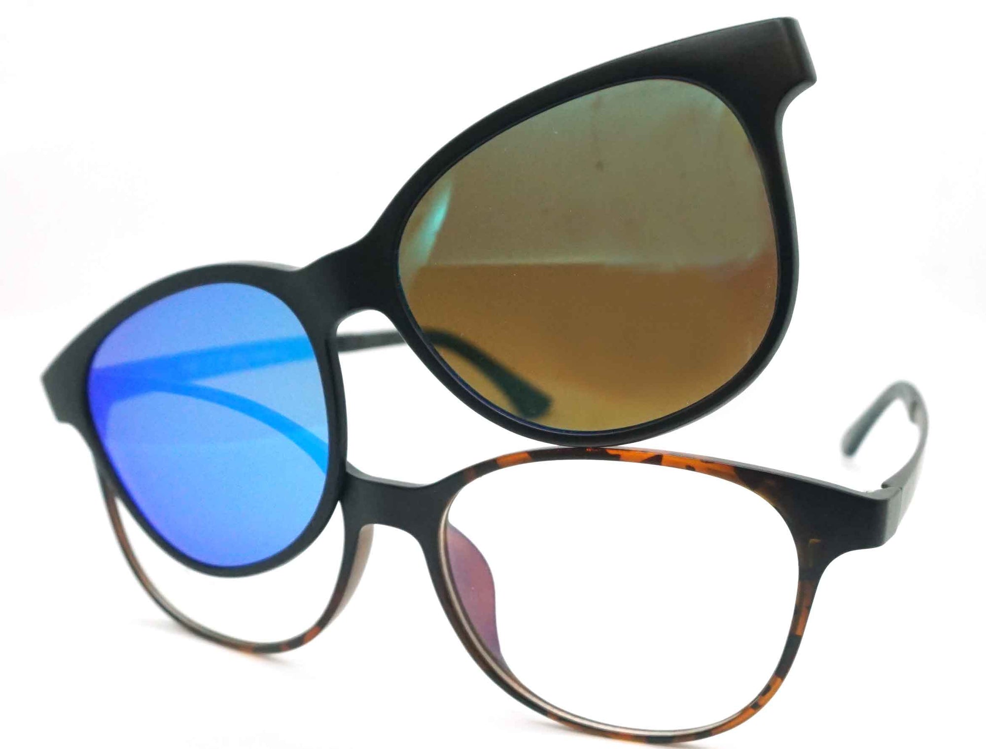 Montgomery - Tortoise