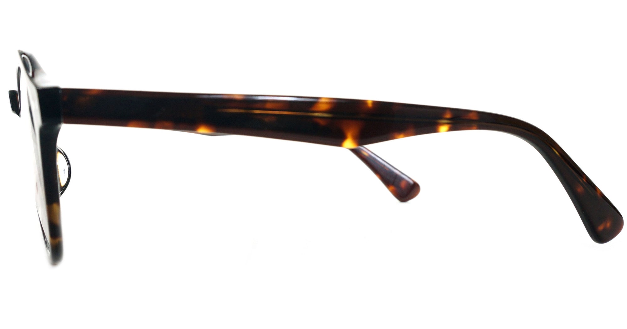 Buchanan - Tortoise - See.Saw.Seen Eyewear