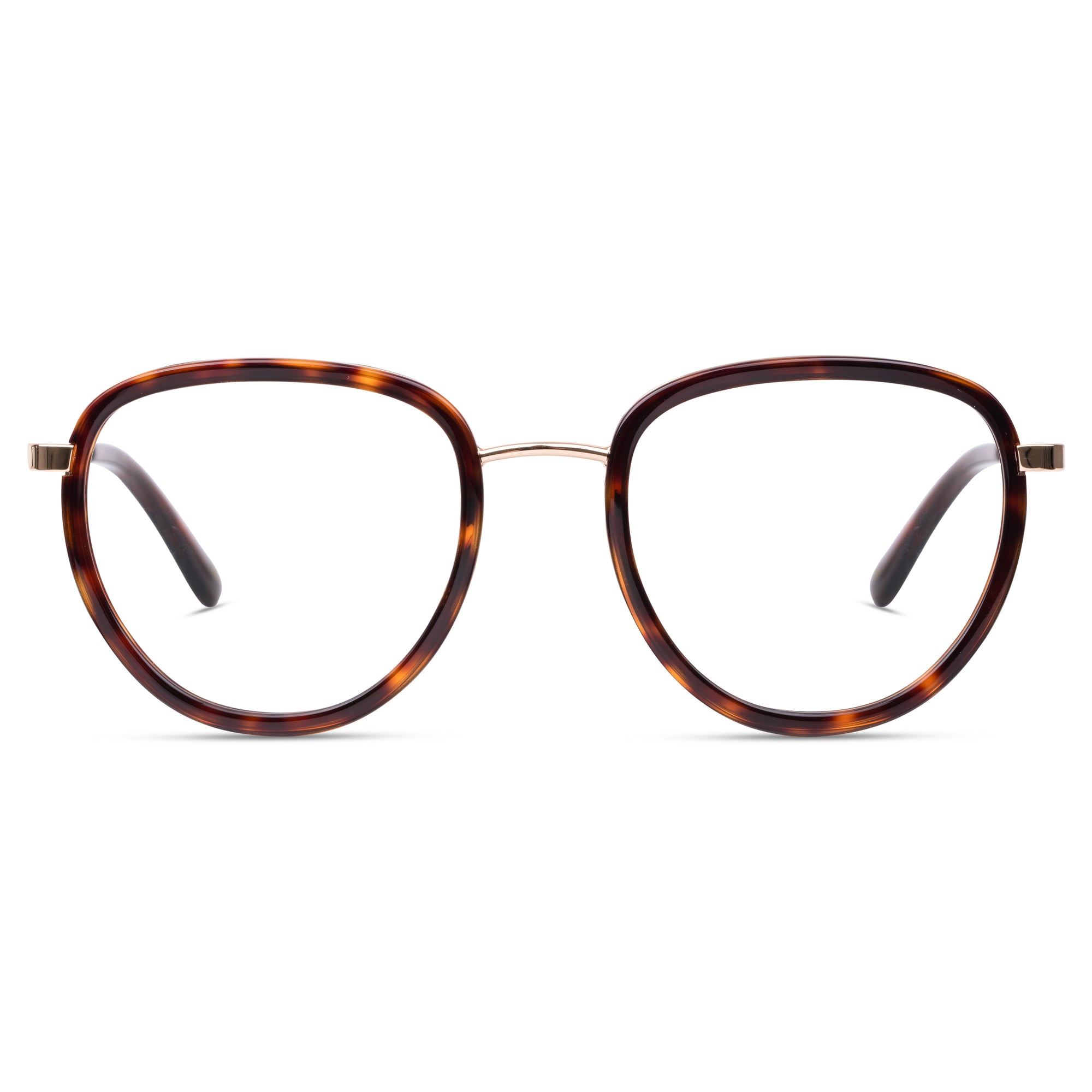Gouverneur - See.Saw.Seen Eyewear