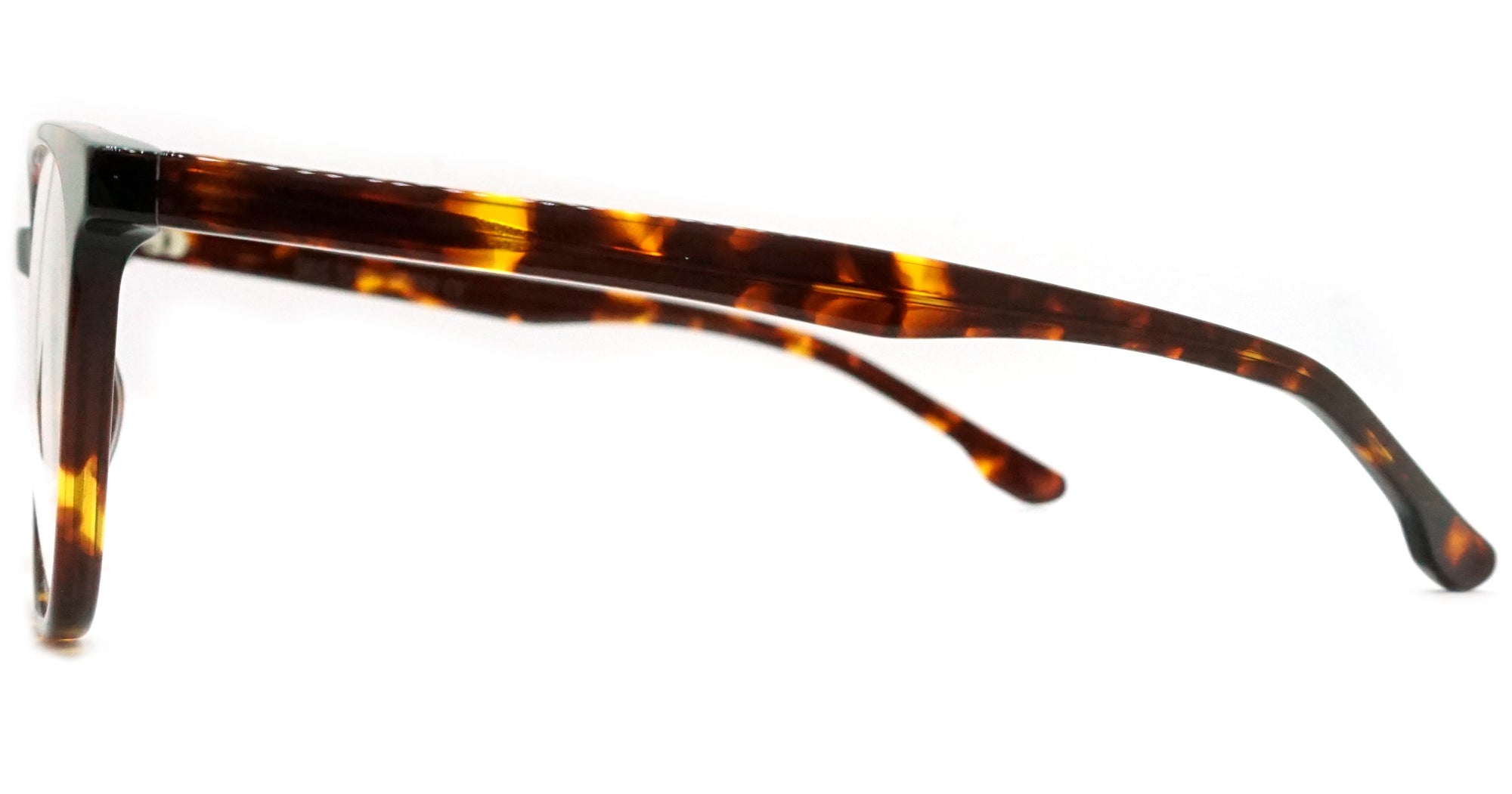 Scott - Tortoise - See.Saw.Seen Eyewear