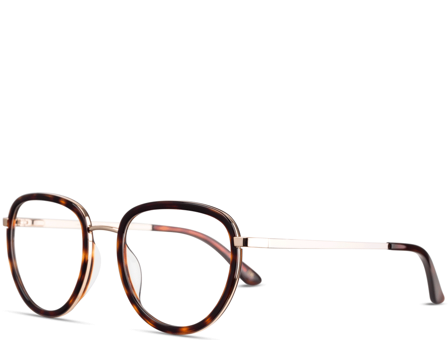 Gouverneur - See.Saw.Seen Eyewear