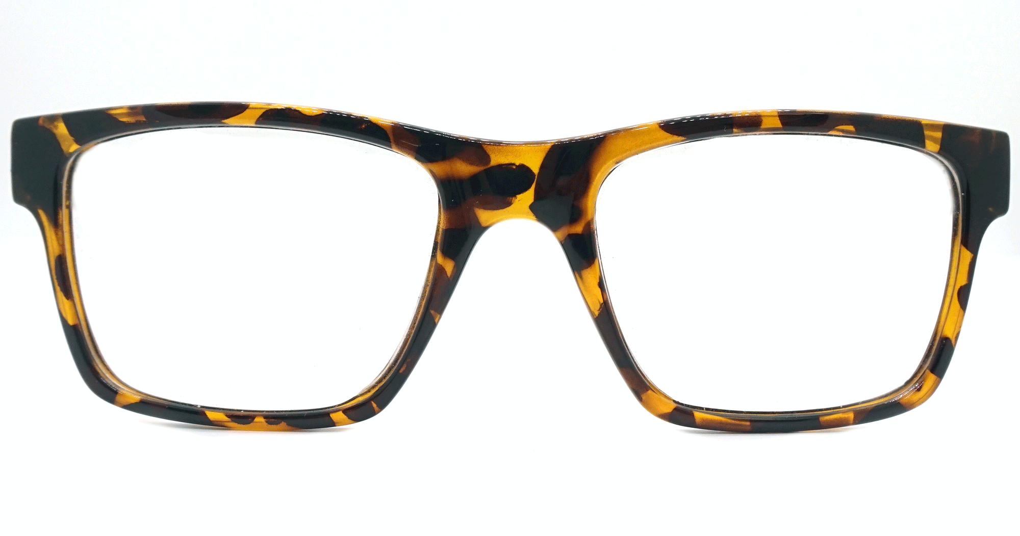 James - Shiny Tortoise - See.Saw.Seen Eyewear