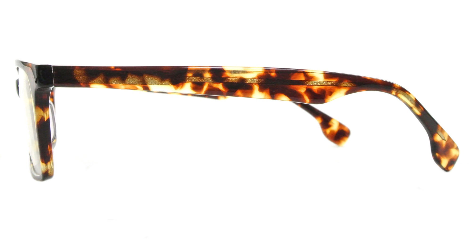 Ward - Tortoise - See.Saw.Seen Eyewear
