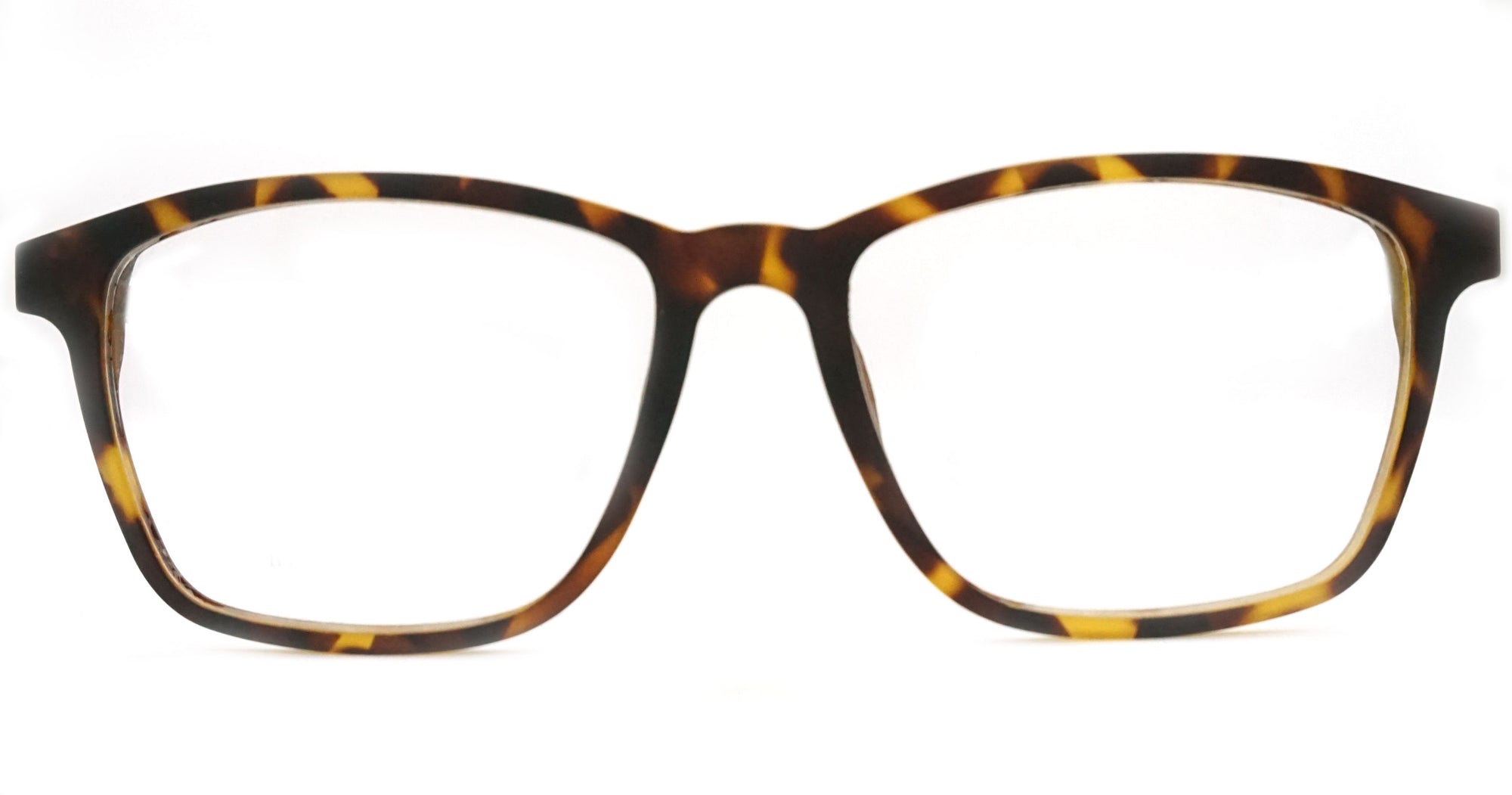 Wheeler - See.Saw.Seen Eyewear