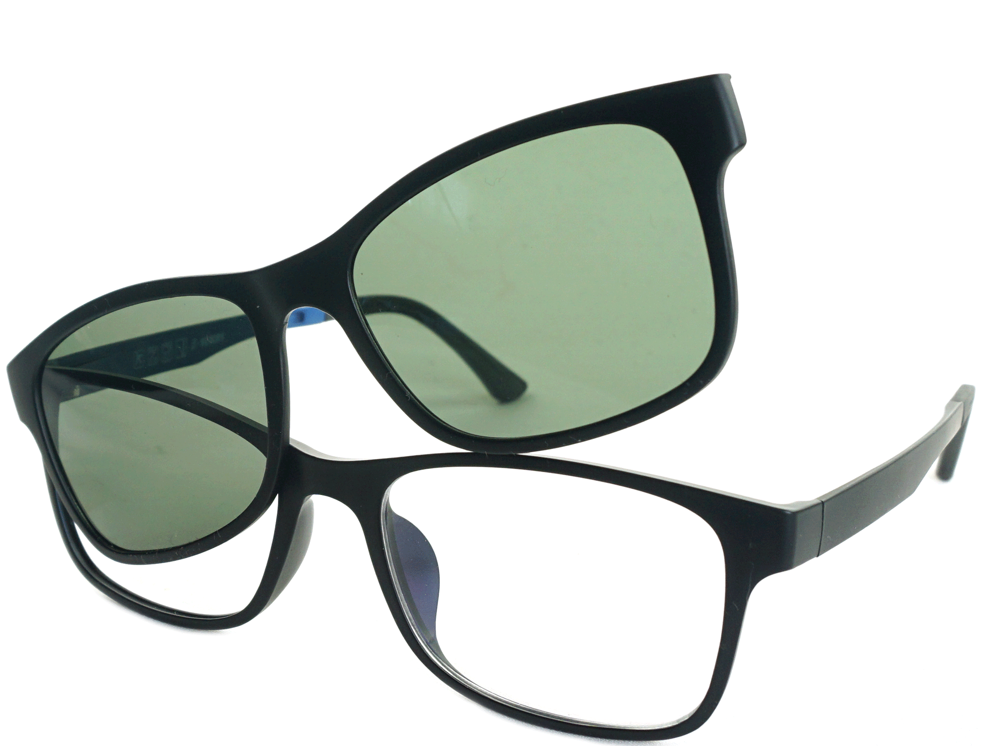 Brant - See.Saw.Seen Eyewear