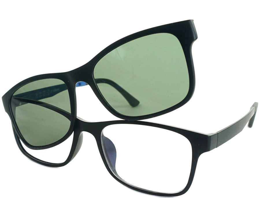 Brant - See.Saw.Seen Eyewear